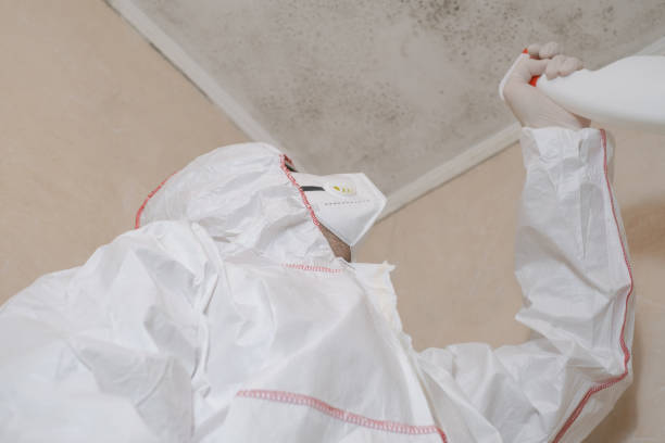 Best Commercial Mold Removal  in Ewa Gentry, HI